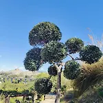 Panorama Piazza Armerina