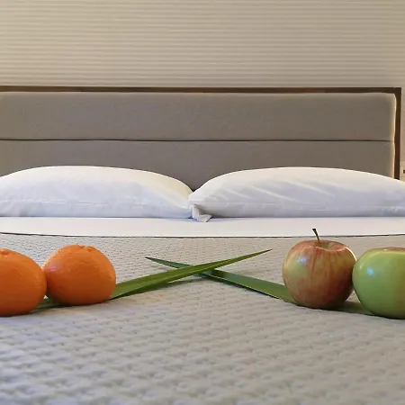 住宿加早餐酒店 Panorama 3*