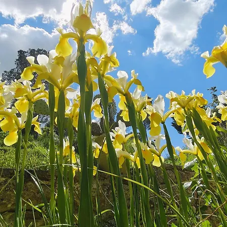 Panorama 住宿加早餐酒店 皮亚扎-阿尔梅里纳