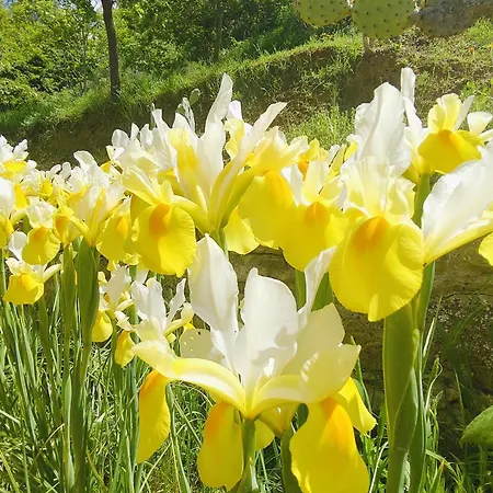 Panorama 皮亚扎-阿尔梅里纳