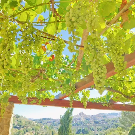 住宿加早餐酒店 Panorama