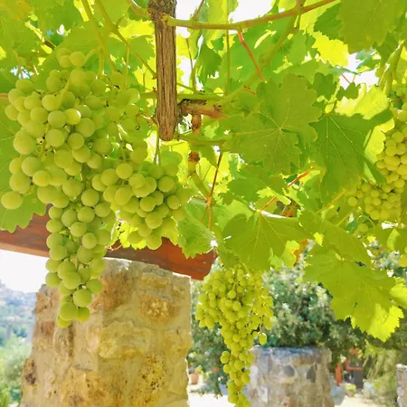 Panorama 皮亚扎-阿尔梅里纳