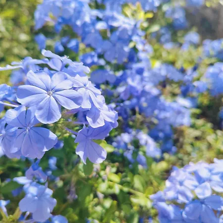 Panorama 住宿加早餐酒店